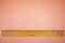 Light Peach Nylon Stretch Spandex 2x2 Rib Knit Fabric By the Yard